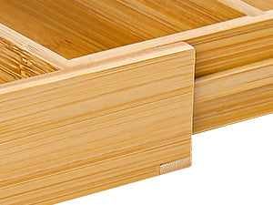 Diseño Ajustable