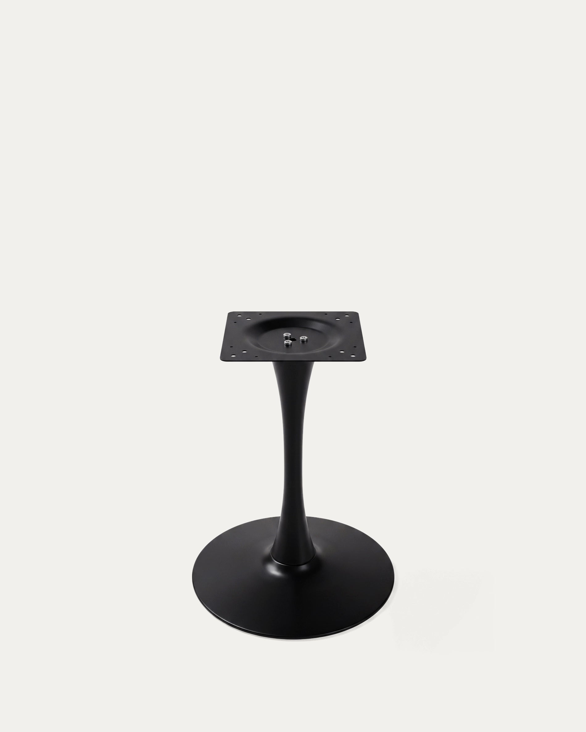 Mesa Tulip