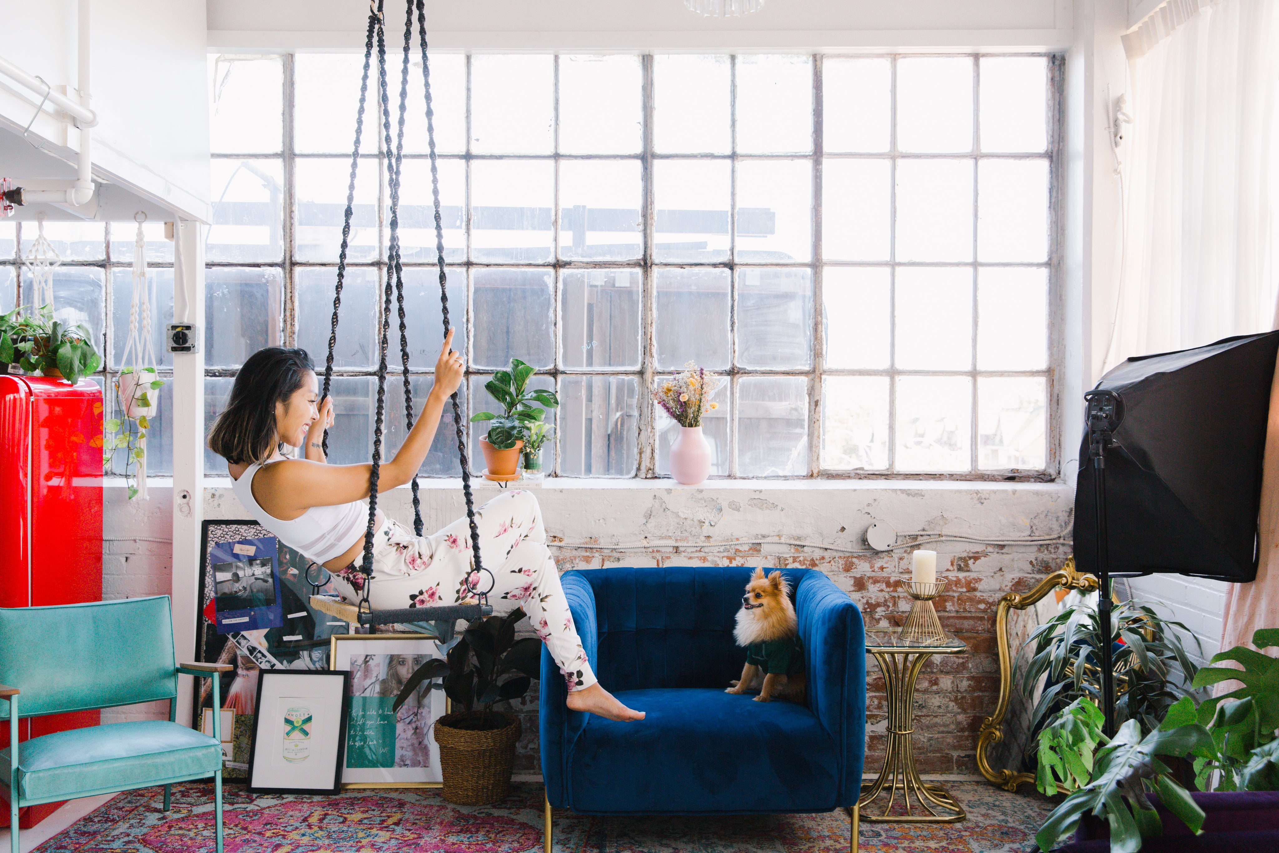 loft-chic-living-with-puppy.jpg